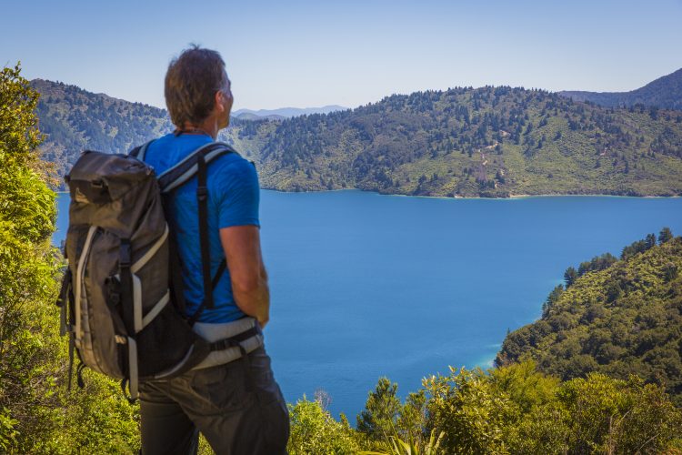 Coastal views on Queen Charlotte Track