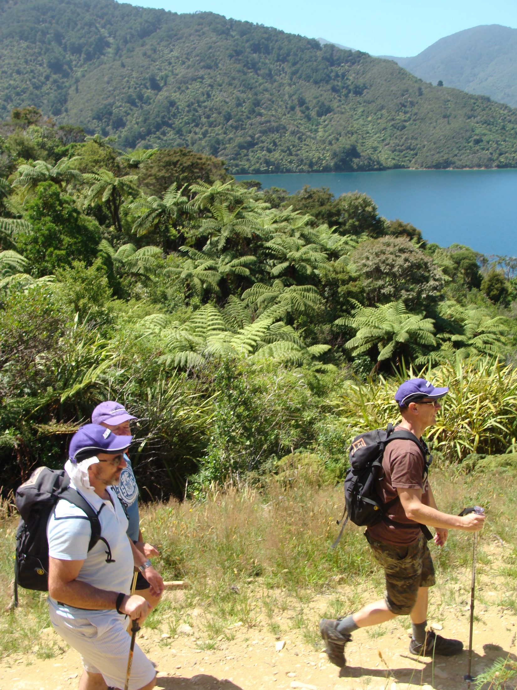 Touring New Zealand: The Queen Charlotte Track – BurritoWagon