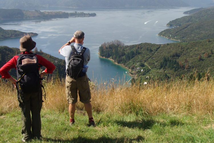 Ridgeline views on Queen Charlotte Track