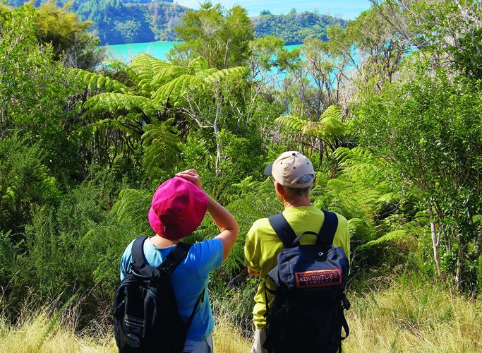 Views over Onahau Bay Queen Charlotte Track