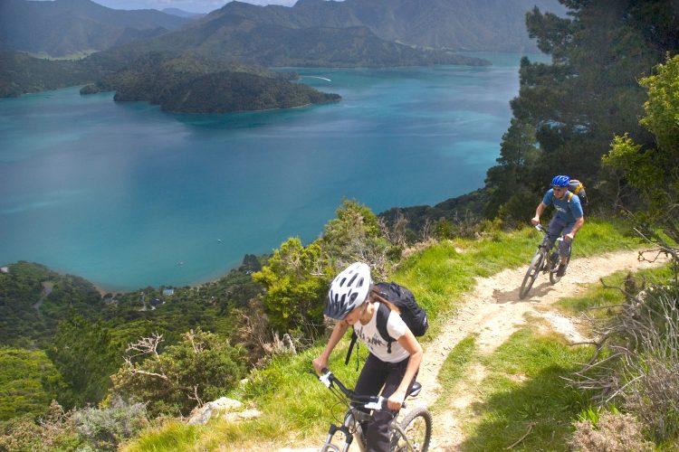 Riding Queen Charlotte Track Marlborough Sounds NZ