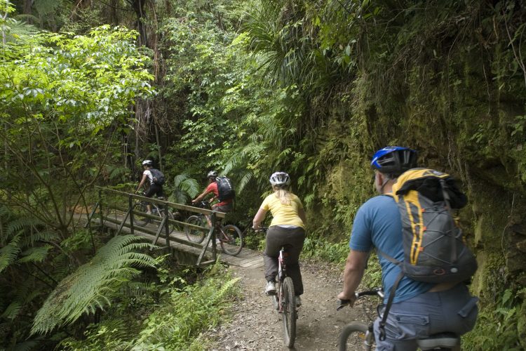 Mountain biking Mistletoe Bay to Anakiwa