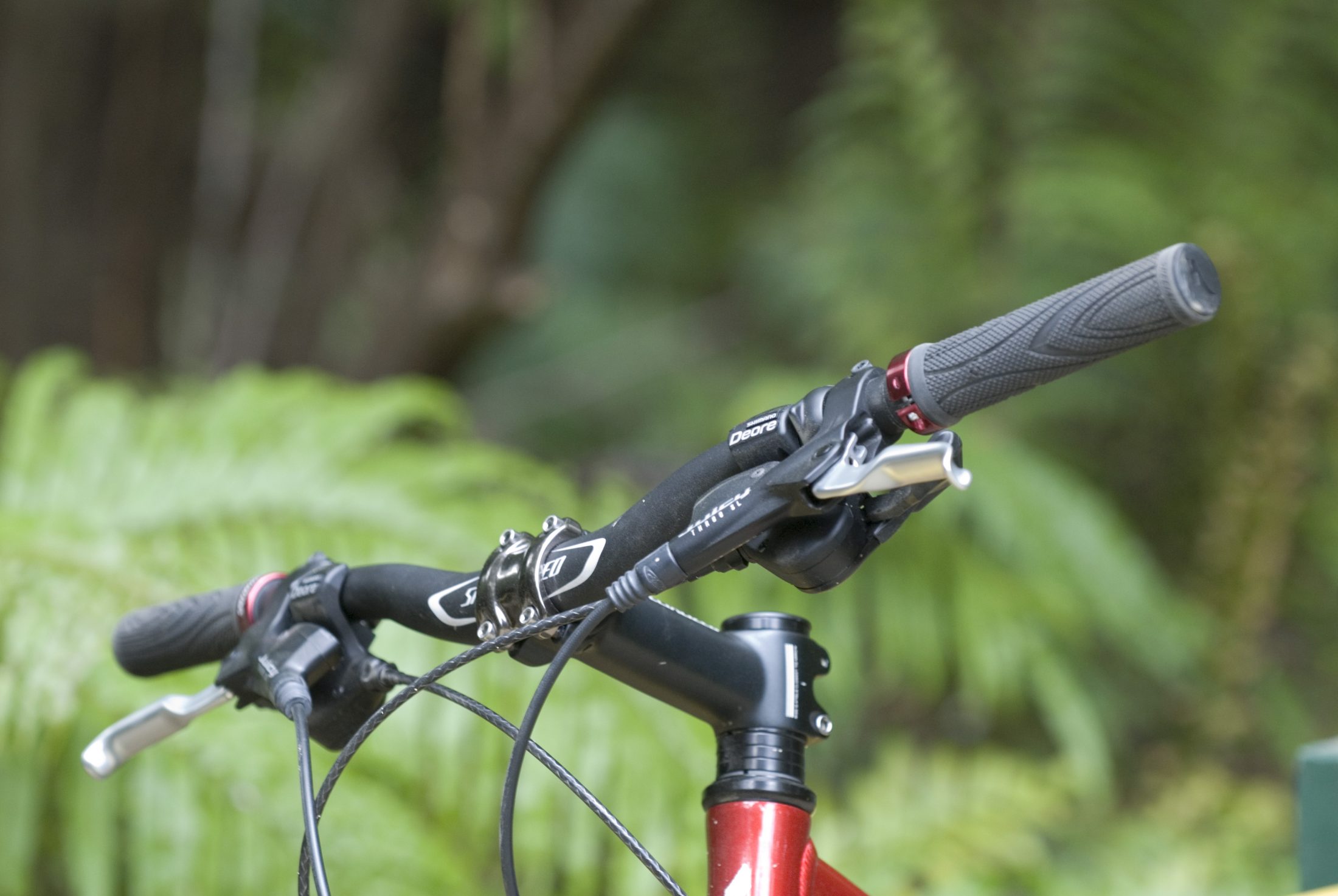 1 Day Mountain Bike Ride Ship Cove to Punga Cove Queen Charlotte Track Marlborough Sounds Adventure Co