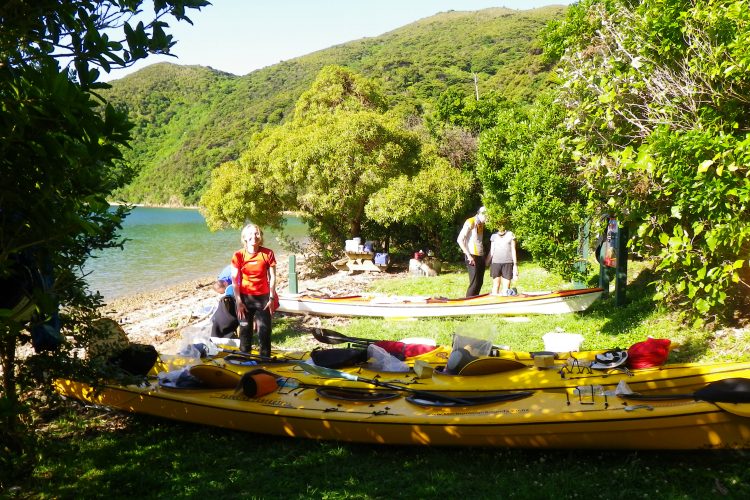 Camping on 3 day Outer Queen Charlotte Sounds Marlborough Sounds NZ