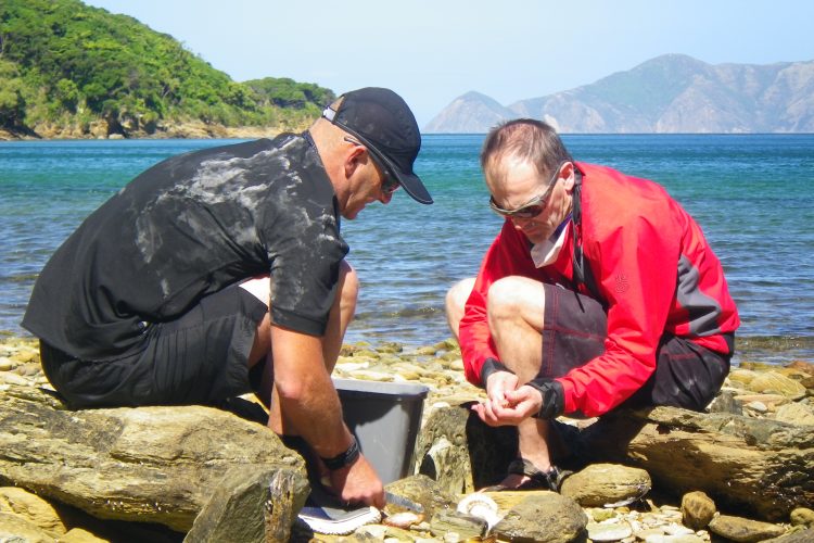 Preparing seafood on 3 day outer Queen Charlotte Sounds