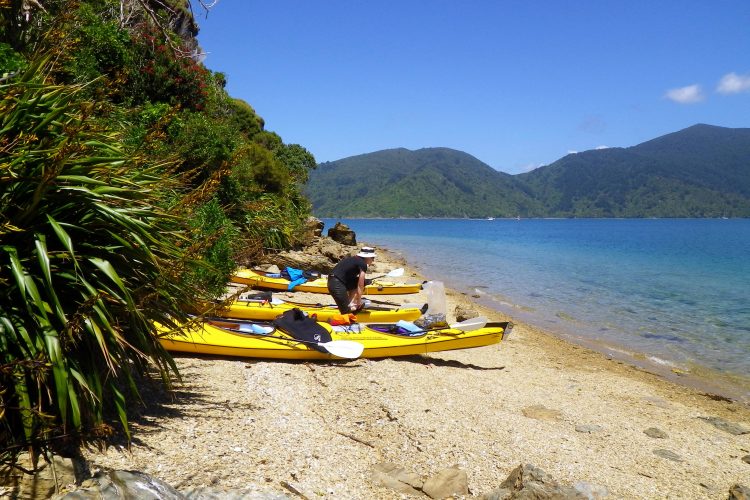 Sea kayaks at Motuara Island in the outer Queen Charlotte Sound Marlborough Sounds NZ