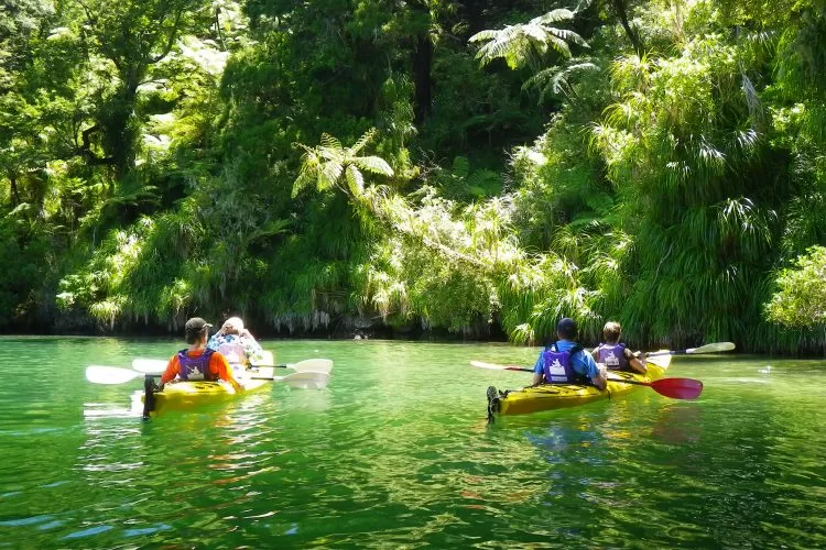 Sea Kayaking Grove Arm, Queen Charlotte Sound Marlborough Sounds NZ