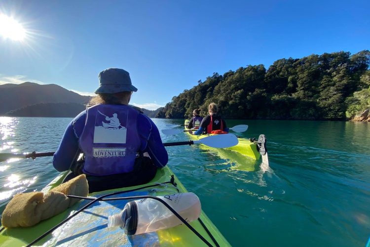 Sea kayaking Grove Arm, Queen Charlotte Sound NZ